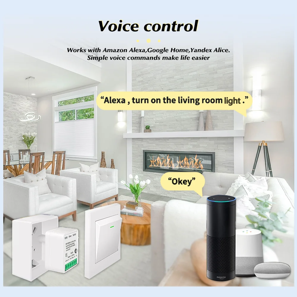 For Tuya Mini Smart WiFi Switc - Smart Home Diy 评论和价格